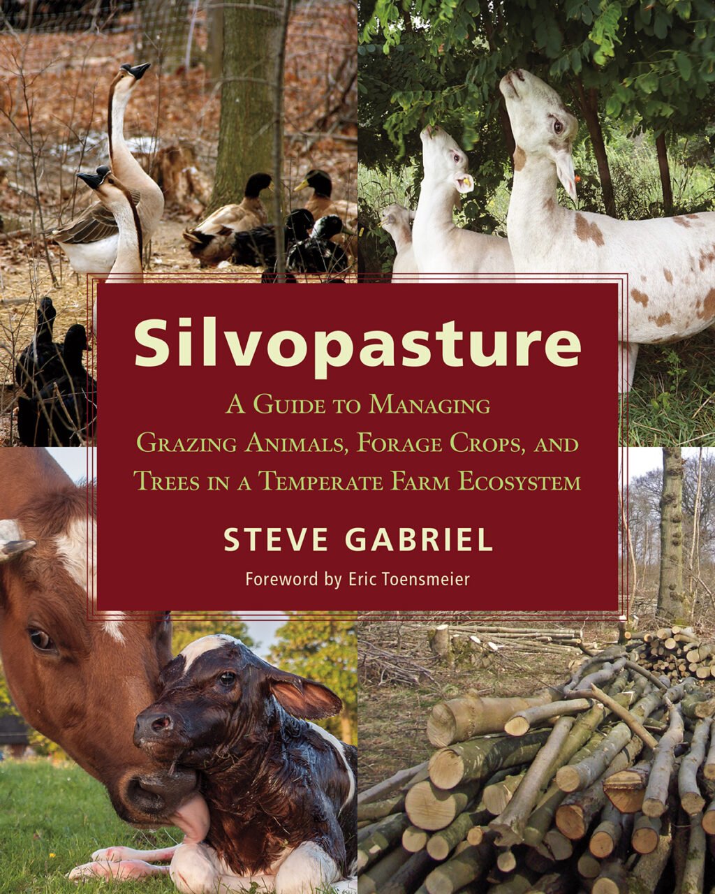 9781603587310 The Silvopasture cover
