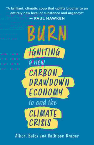 The Burn cover