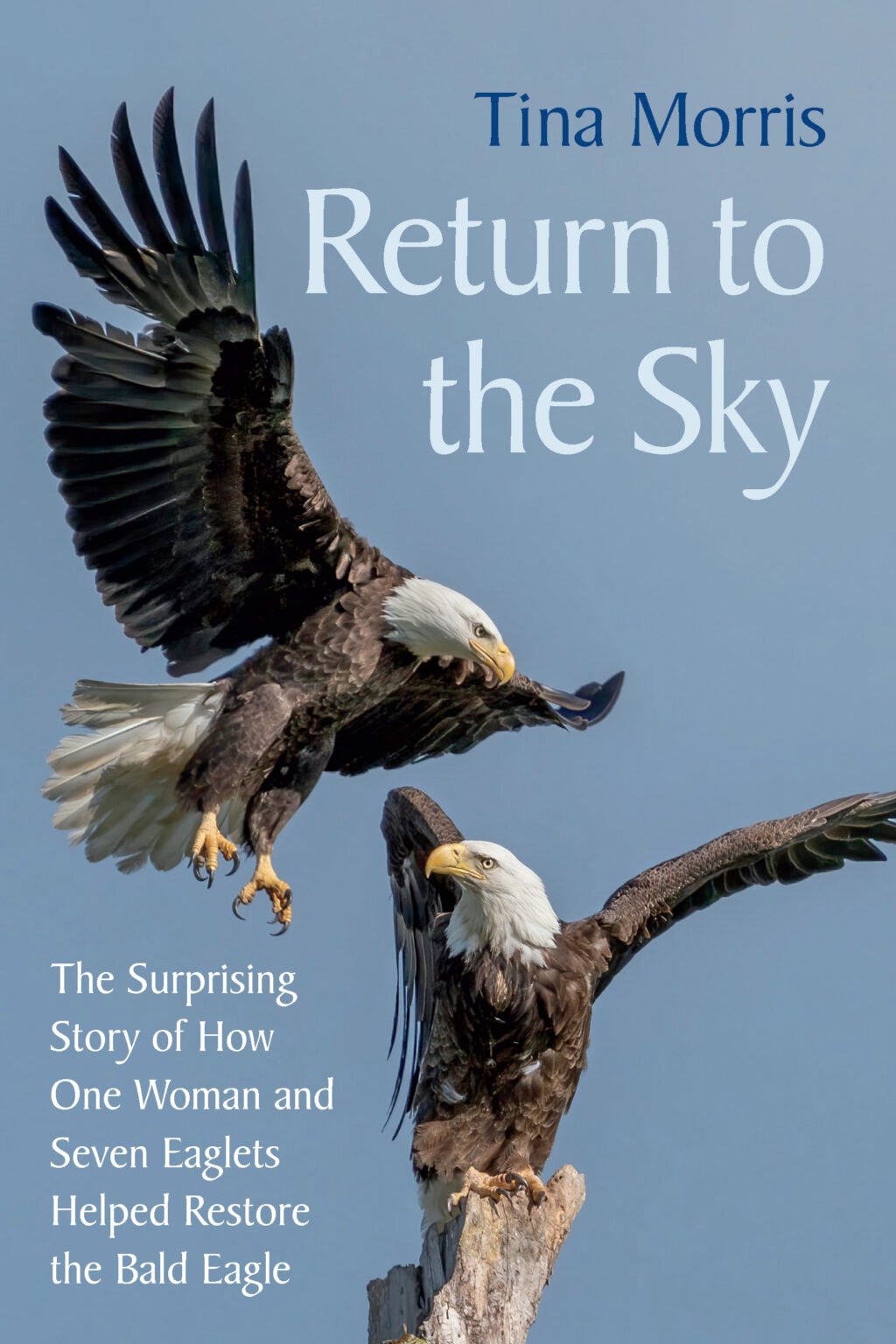 9781645022633 The Return to the Sky cover