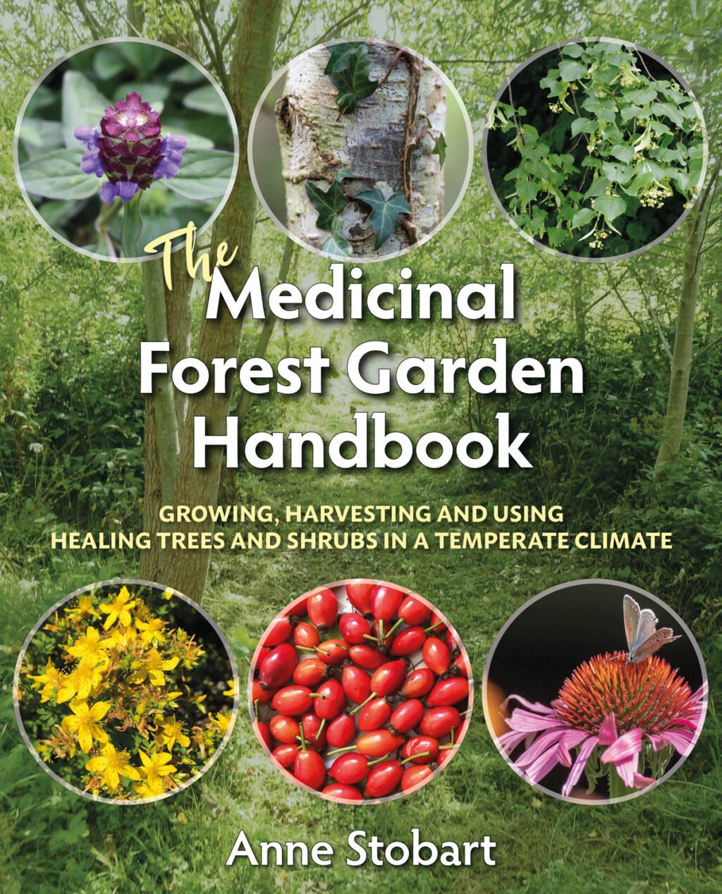 9781856233323 The Medicinal Forest Garden Handbook cover