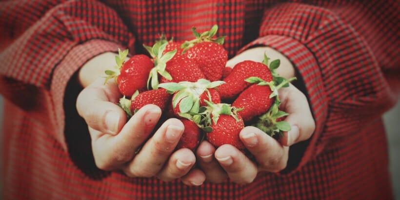 bs-strawberries-banner holding strawberries
