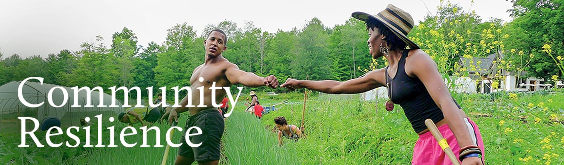 community-resilience_banner_1140-335 community-resilience_banner_1140-335