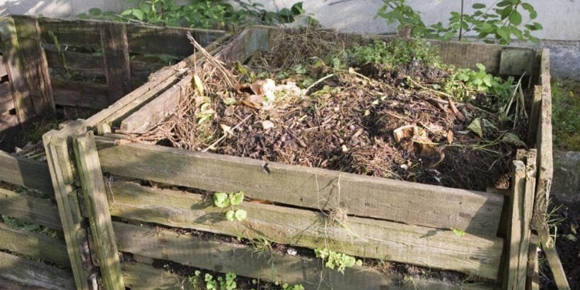 Compost_Bannersnack-Max-Quality compost