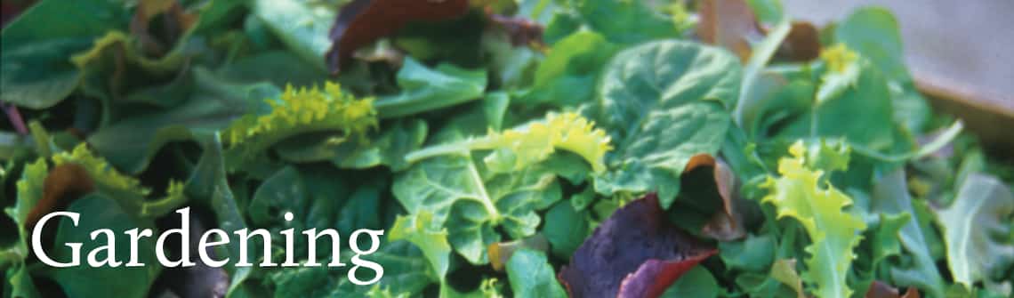gardening_banner_1140-335 gardening_banner