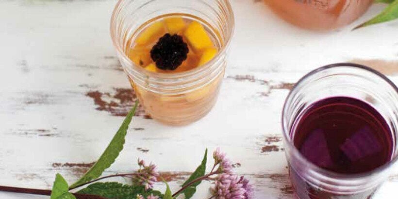 kvass_healyourgut_book kvass