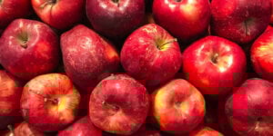apple snack cake
