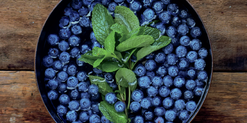fruit_kvass_banner_wildcraftingbrewer_book fruit kvass